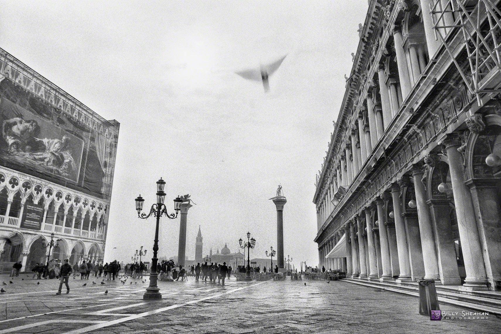 Bird_Over_Piazza_San_Marco,_Venice,_Italy_Italy-642_01_BW_D