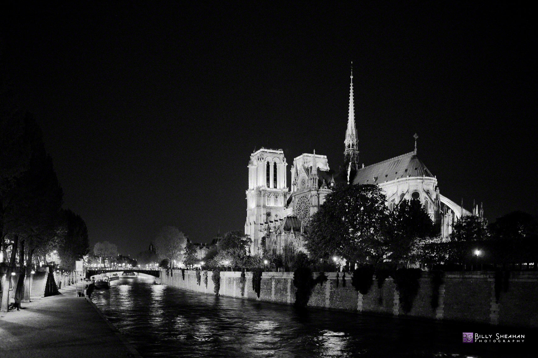 Cathedrale_Notre_Dame_de_Paris__France_Paris2008_23Apr2008_0115_D