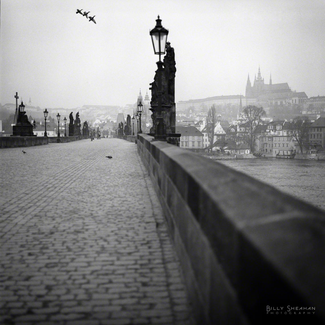 Karlov_Most_Charles_Bridge_Prague-638_10_D.jpg