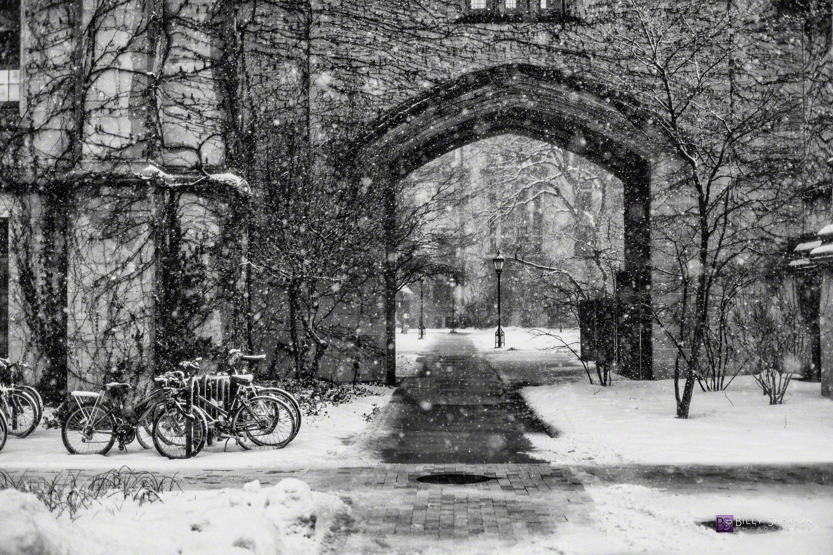 Snowstorm Arch