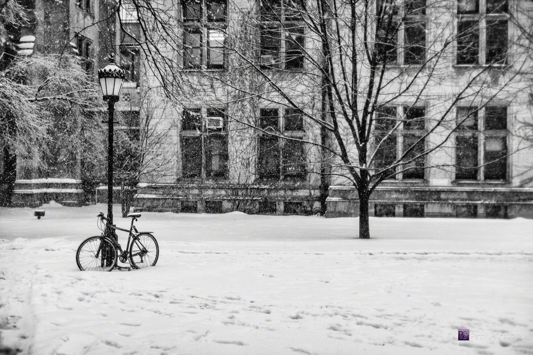 Snowy Bicycle and Lamp Post University of Chicago