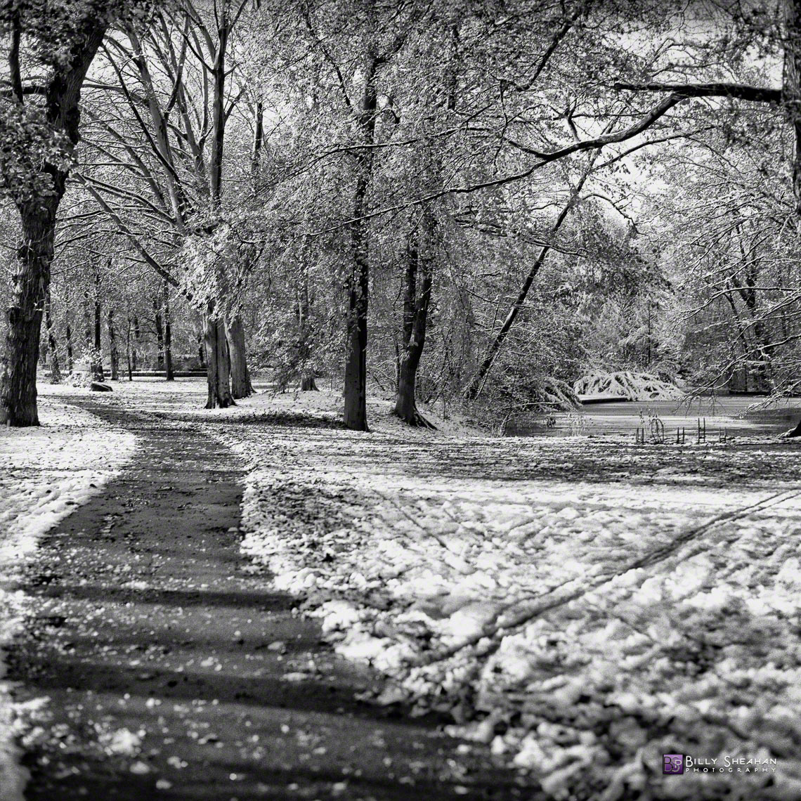 Tiergarten_Snowy_Path__Berlin__Germany_Germany-360_03_BW_D